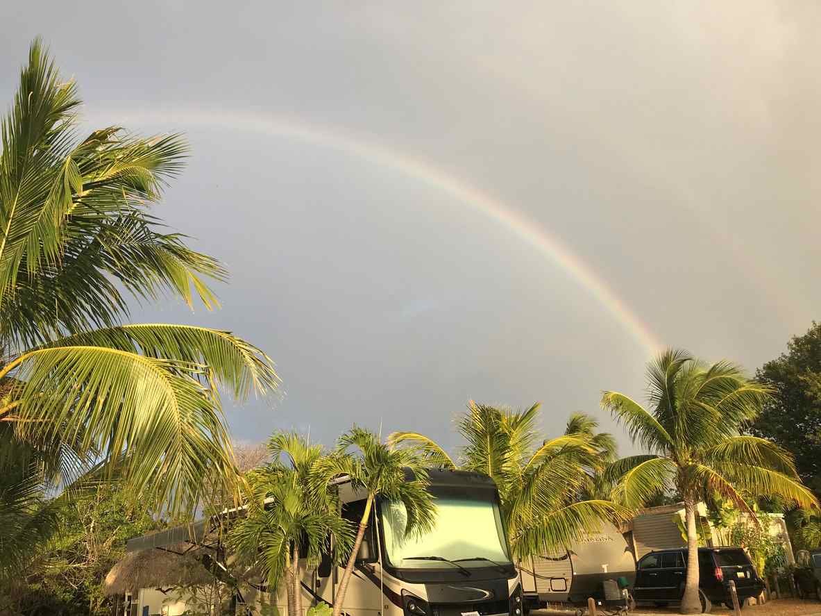 A group of RV's near a park of palm tree's and a rainbow in the background.
