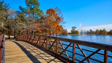 Hermann Park during the fall season