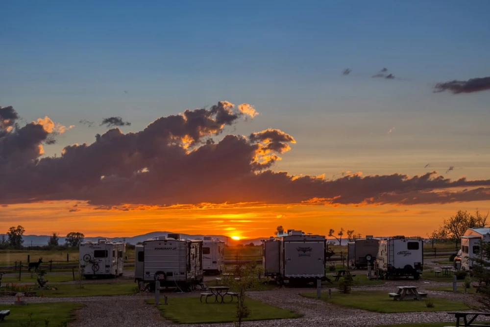 A collection of RV's facing the sunset in an RV park