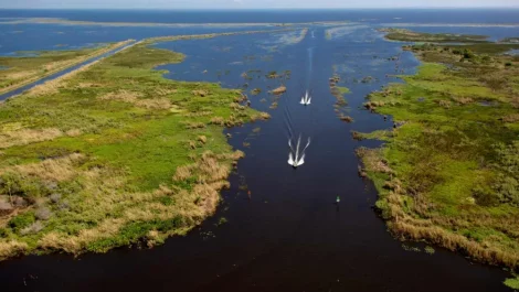 A pair of boats speeding down Lake Okeechobee