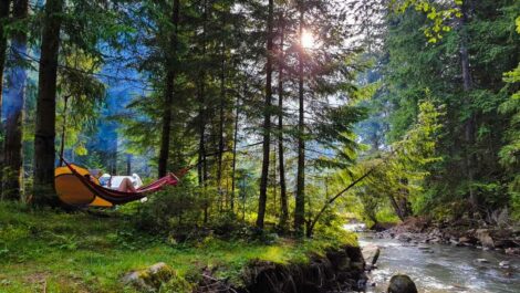 A solo camper relaxes in a hammock at a campsite in a lush green forest.