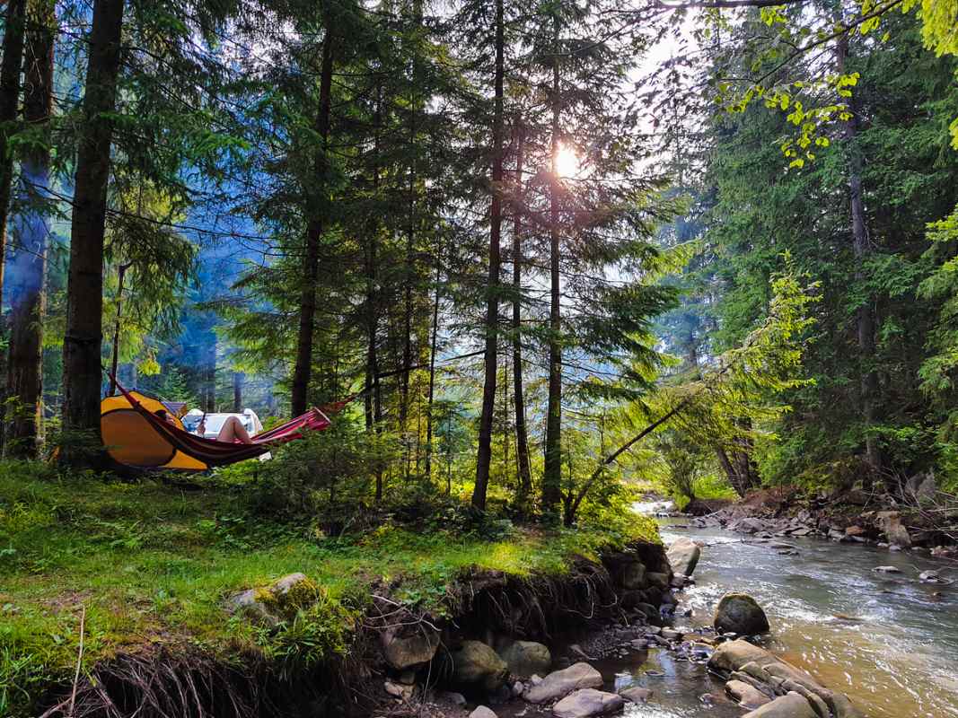 A solo camper relaxes in a hammock at a campsite in a lush green forest.