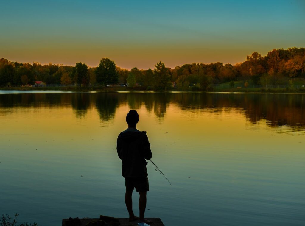 A front view of a largemouth bass jumping out of the water for a minnow lure.