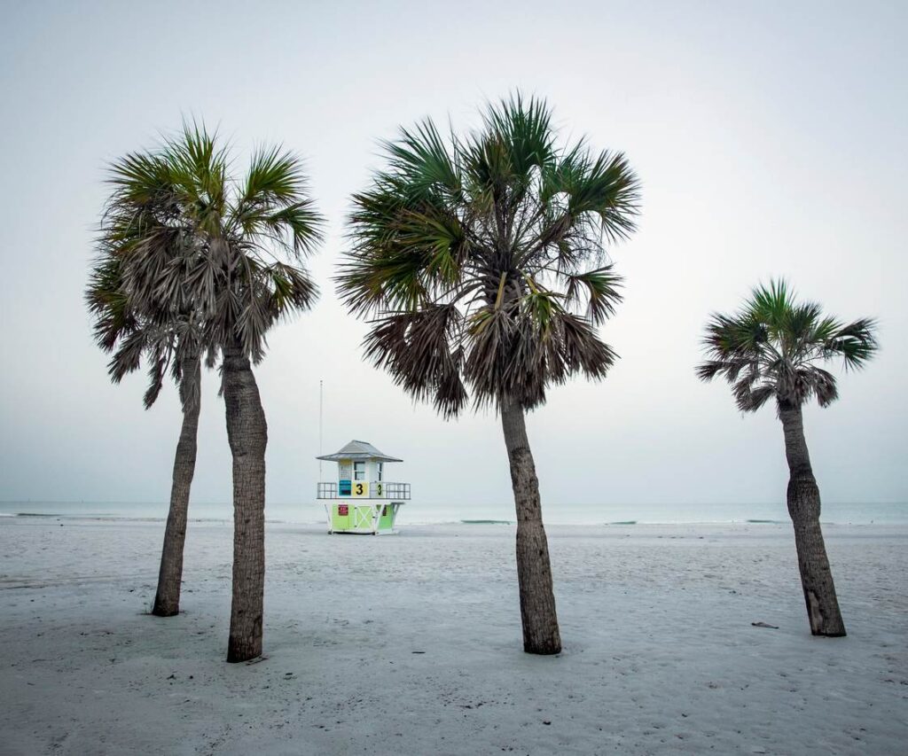 Palm trees and a lifeguard station on Clearwater Beach in Florida on a foggy day.